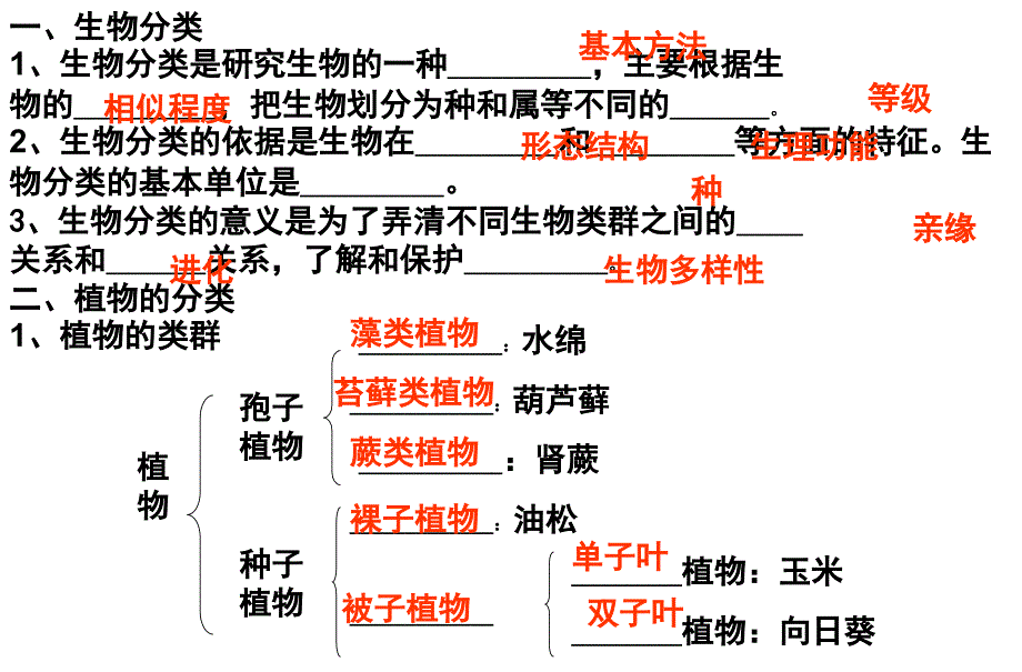 尝试对生物进行分类课件精品中学课件_第2页