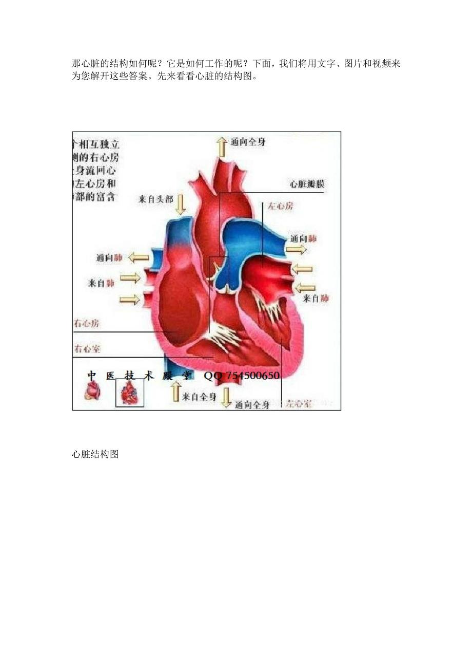 男怕穿靴女怕戴帽_第3页