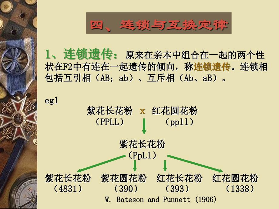  遗传的基本定律_第3页