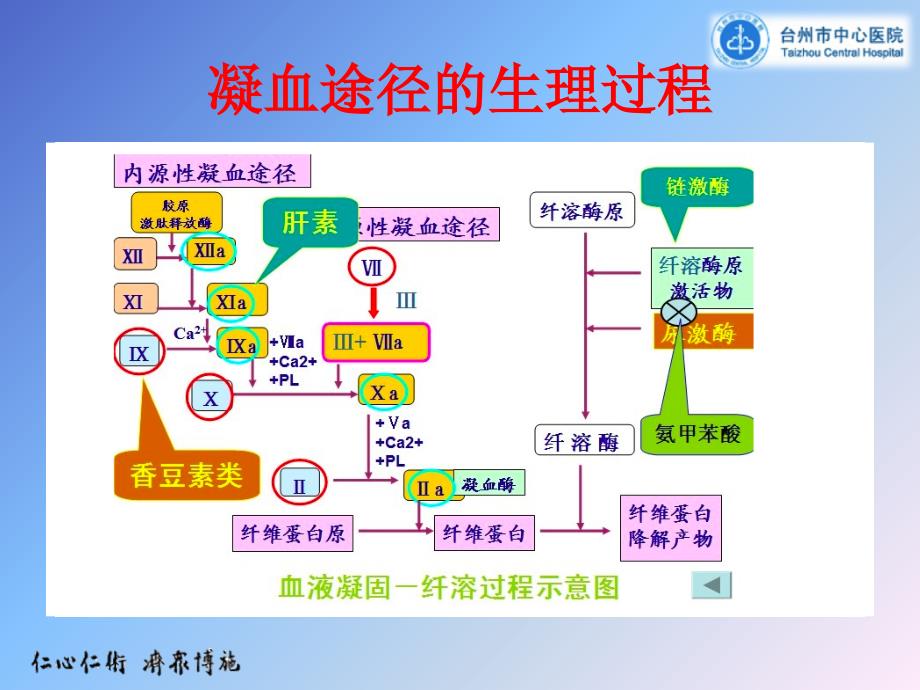 常见凝血功能异常的临床思维-新_第2页