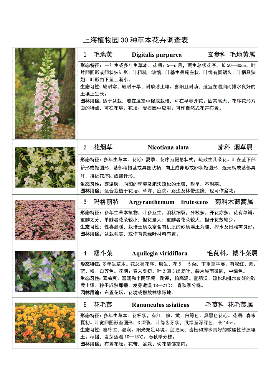 上海植物园实习30种草本花卉_第1页