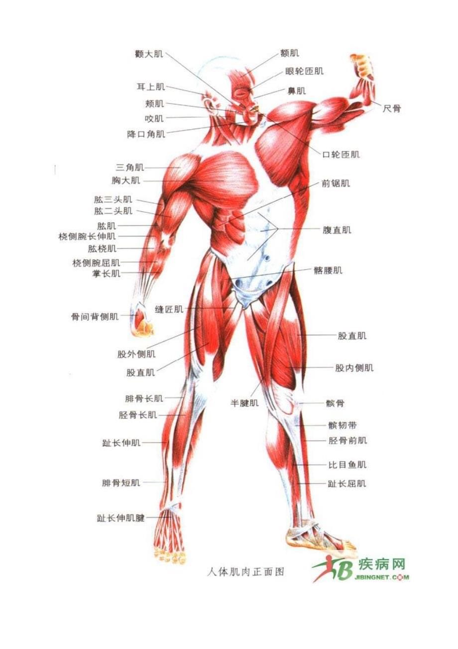 美式整脊枪基本技巧_第5页