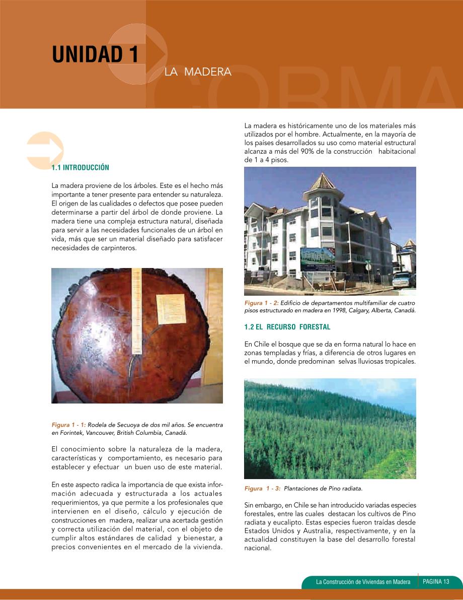 la construccion de viviendas en madera：la madera_第4页