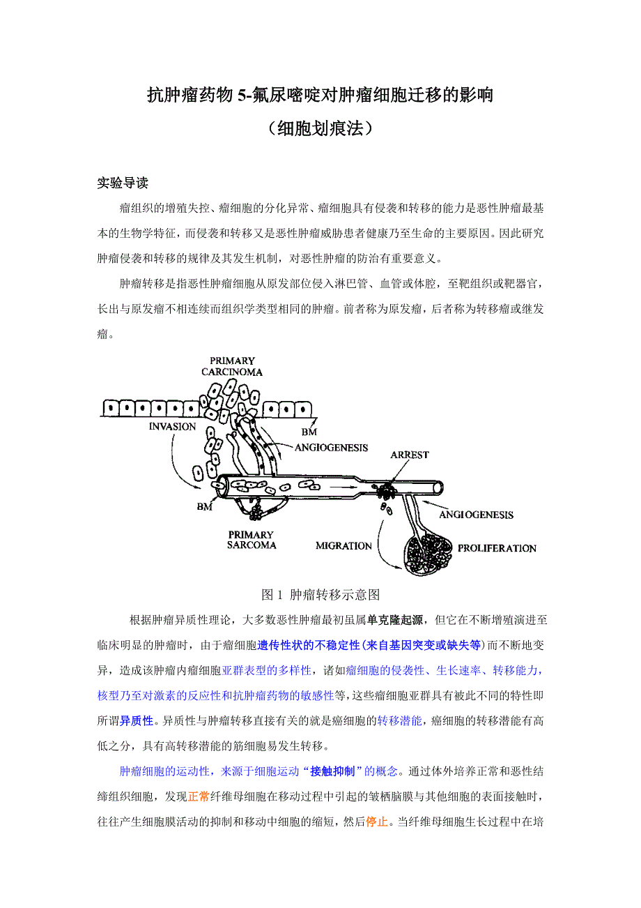 肿瘤细胞迁移实验(细胞划痕法)讲义_第1页