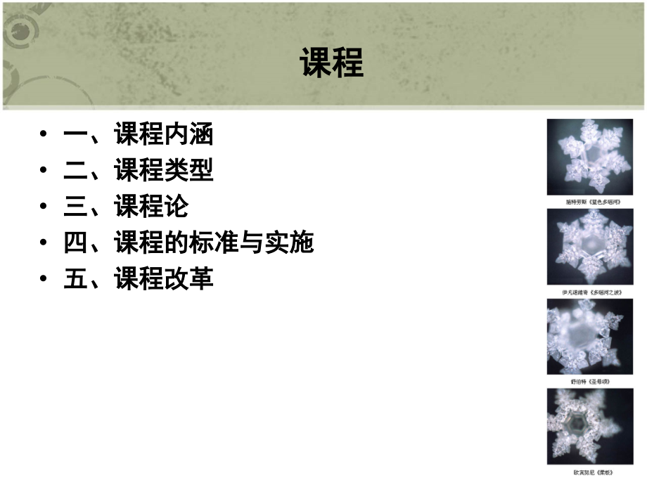 教育学原理 第七章 课程_第1页