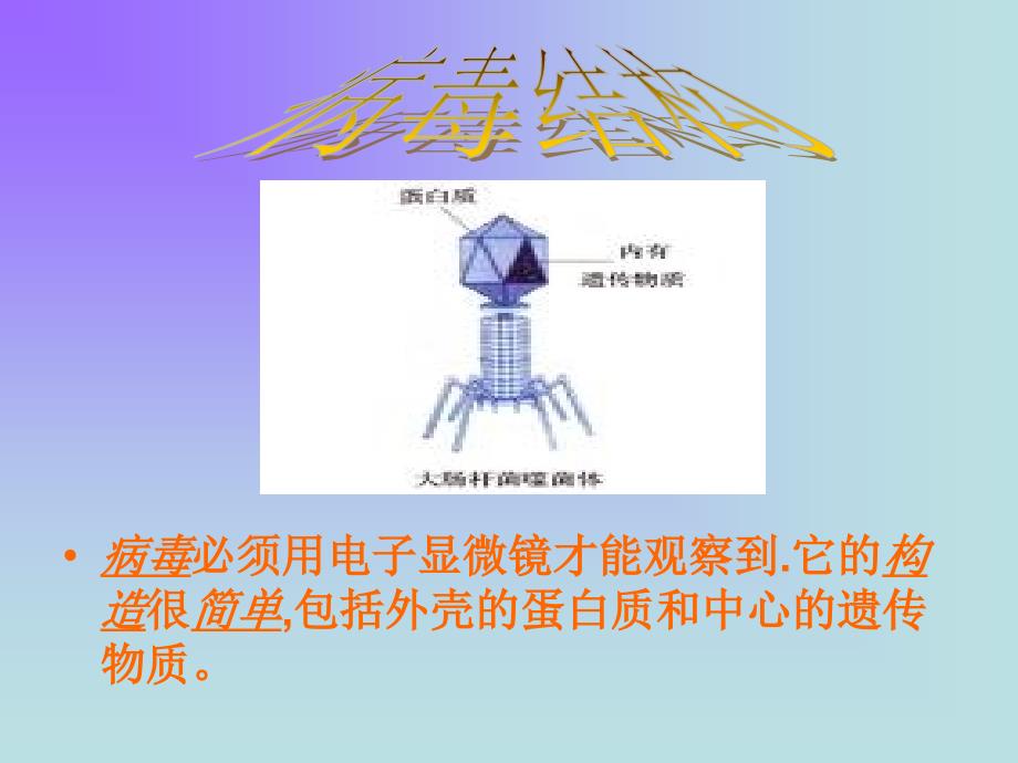 甲型流感ppt课件_第3页