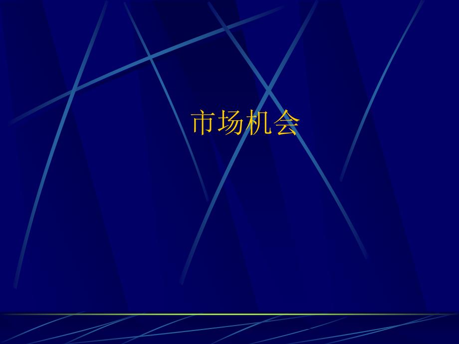 市场营销学-市场机会_第1页