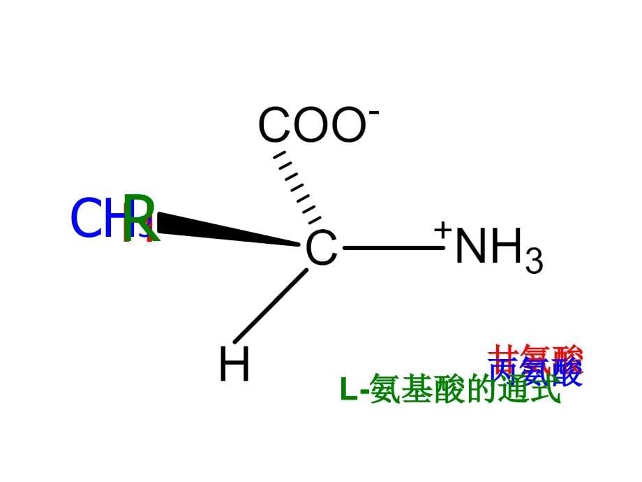 生物化学课件-第1章-蛋白质的结构与功能_第5页