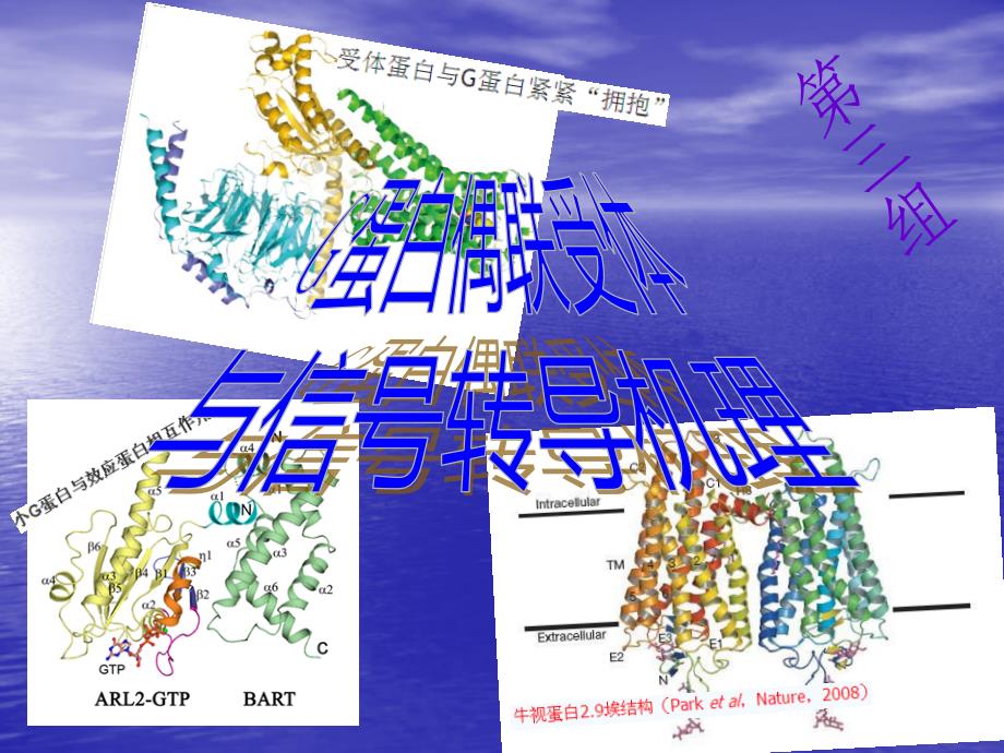 生物化学ppt展示最终版_第1页