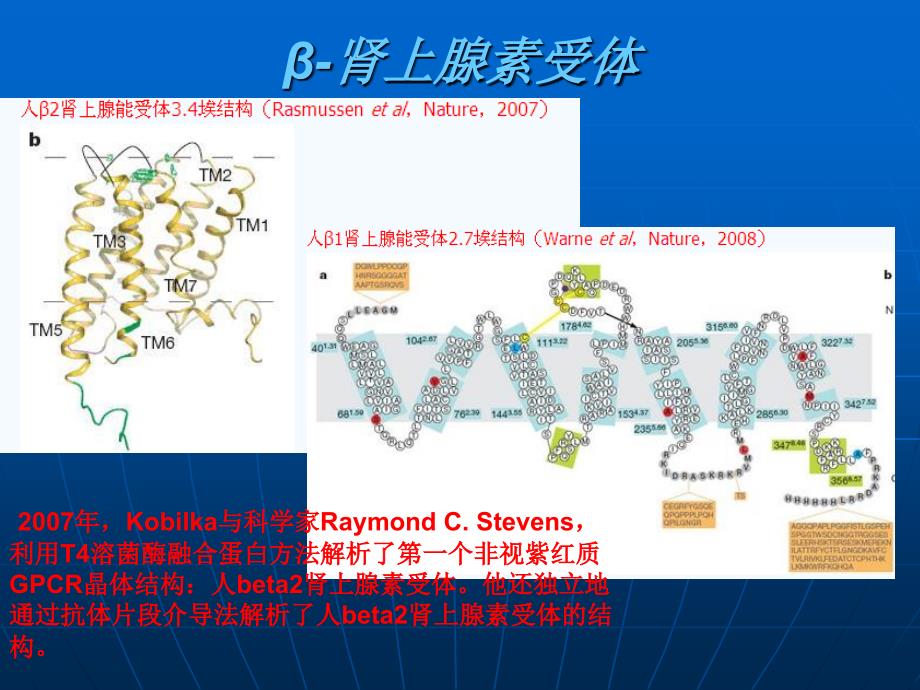 生物化学ppt展示最终版_第4页