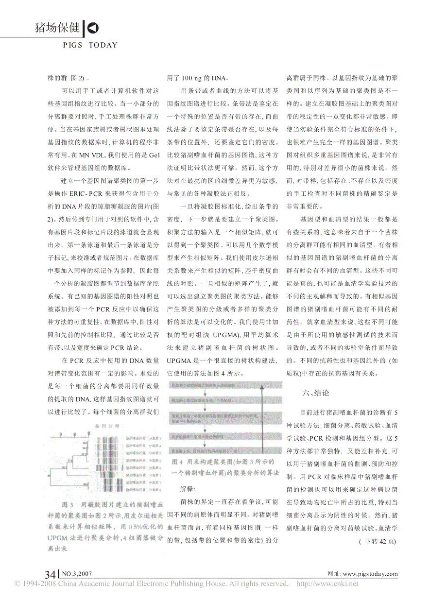 猪副嗜血杆菌的诊断_第4页