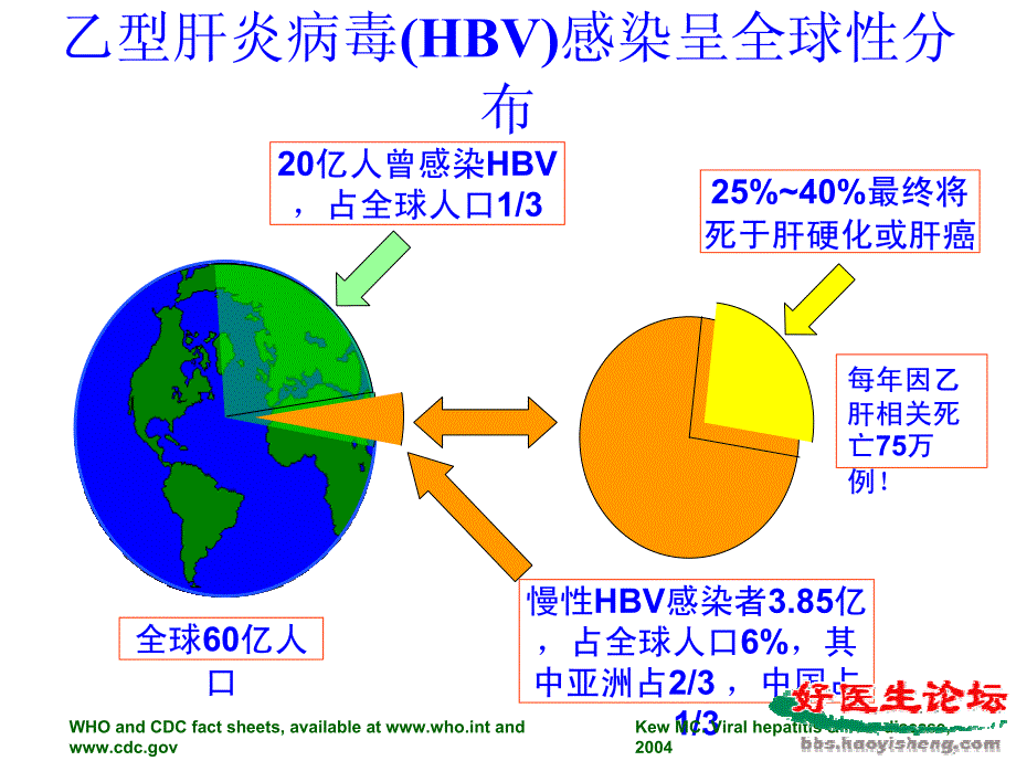 乙肝抗病毒治疗的重要性_第2页