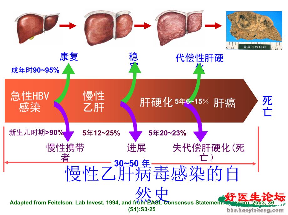 乙肝抗病毒治疗的重要性_第3页