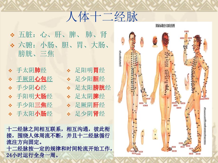 生活健康小问题_第4页