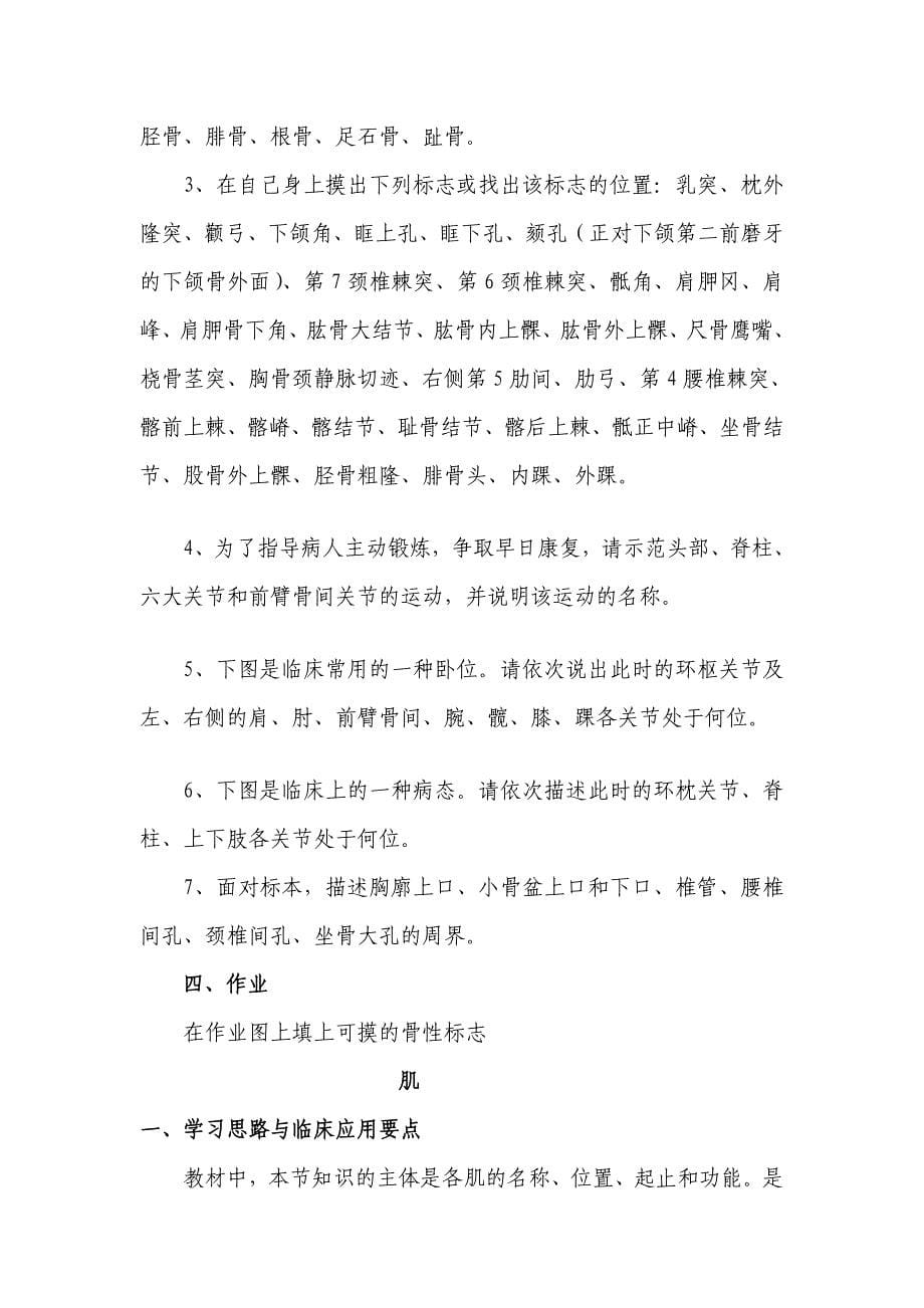 运动系统预习提纲_第5页