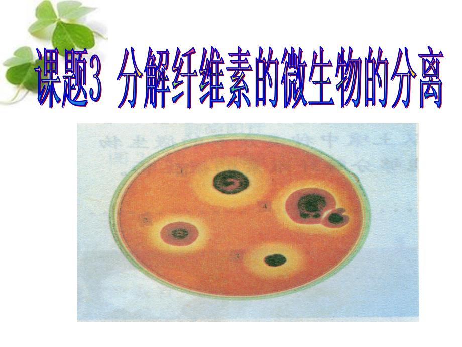 分解纤维素的微生物的分离教学用_第1页