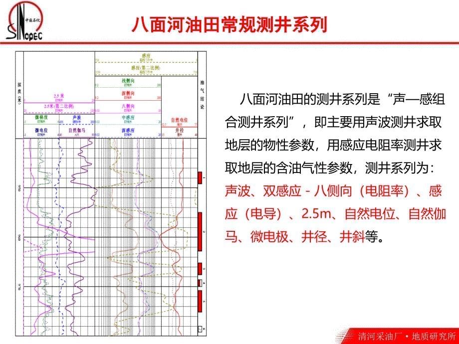 八面河油田常规测井系列原理及综合解释_第5页
