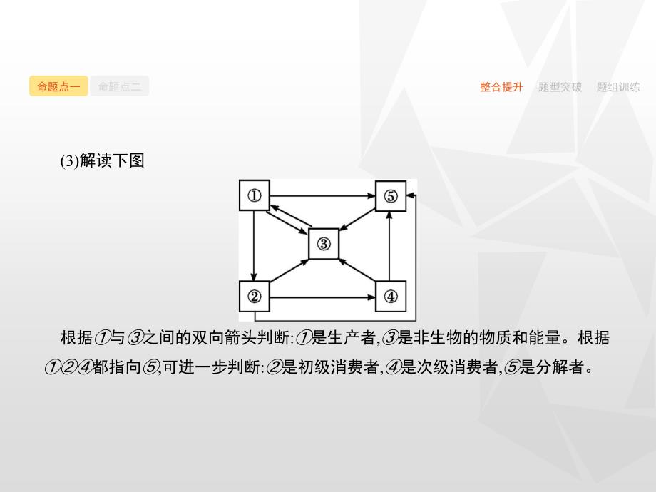 志鸿优化·2016高考生物二轮配套课件：专题14生态系统与环境保护_第4页