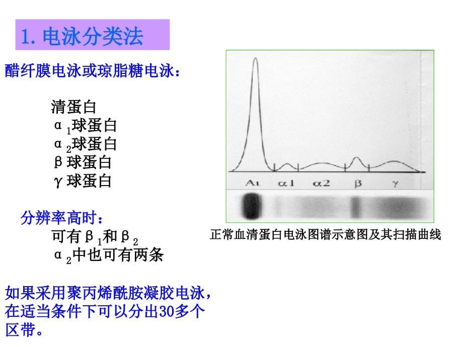 蛋白质与非蛋白含氮化合物的代谢紊乱1_第5页