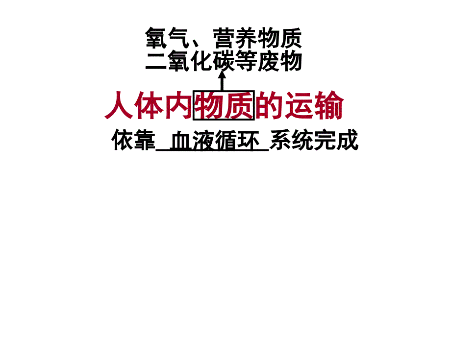 七下第四章人体内物质的运输复习课件1_第2页