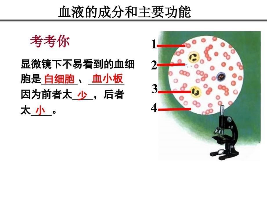 七下第四章人体内物质的运输复习课件1_第5页