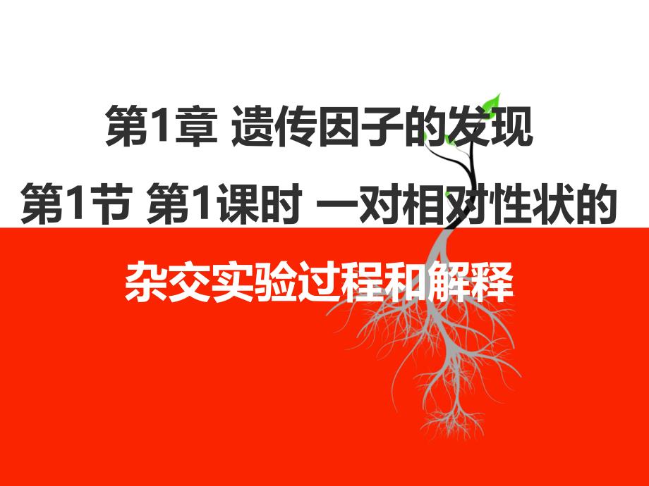 高中生物必修2第一章遗传因子的发现同步教学课件-1.1.1 一对相对性状的杂交实验过程和解释 (共21张)_第1页