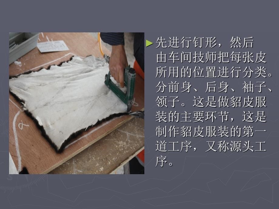 貂皮服装制作工序(金帝威伦知识讲堂第三讲)_第5页