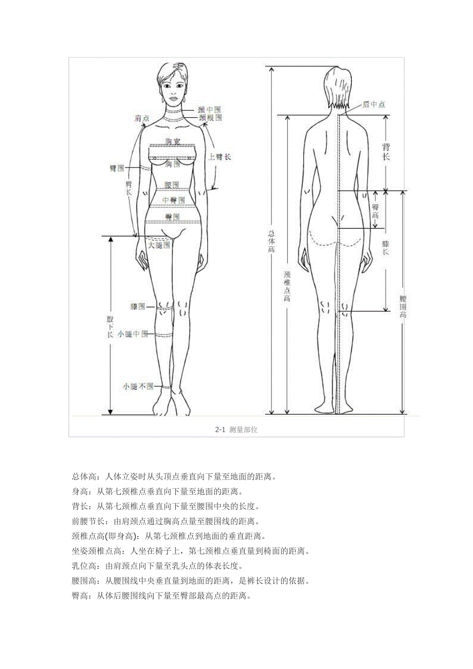 怎样进行人体测量_第3页