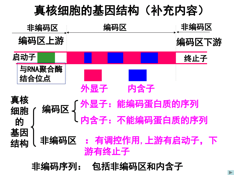 基因工程的基本操作程序(非常全面)_第4页