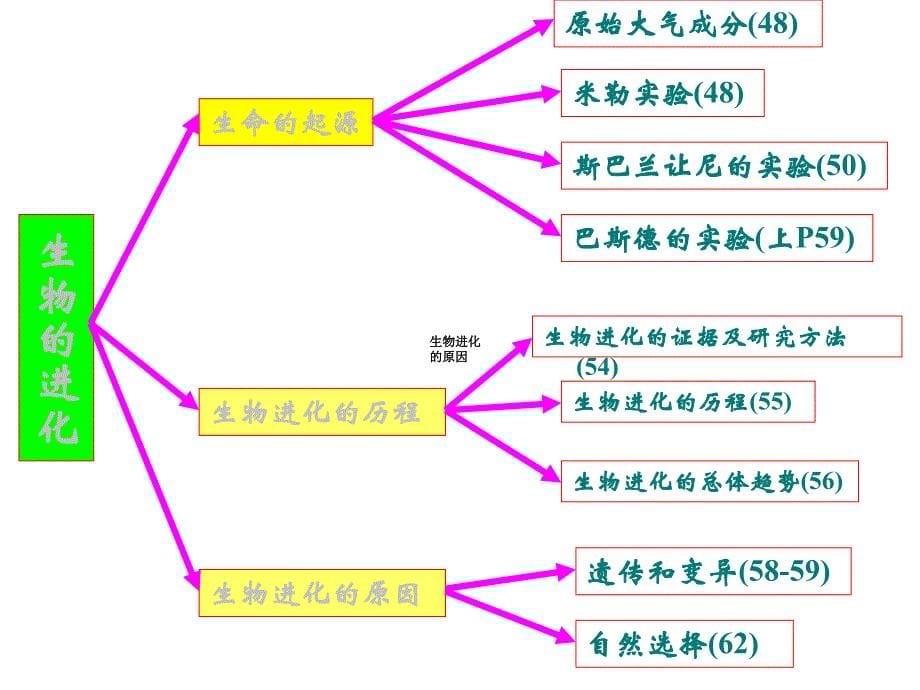 人教版八年级下册生物复习课件(共91张)_第5页