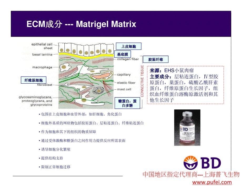 Matrigel的选择,保存,使用方法及注意事项_第5页