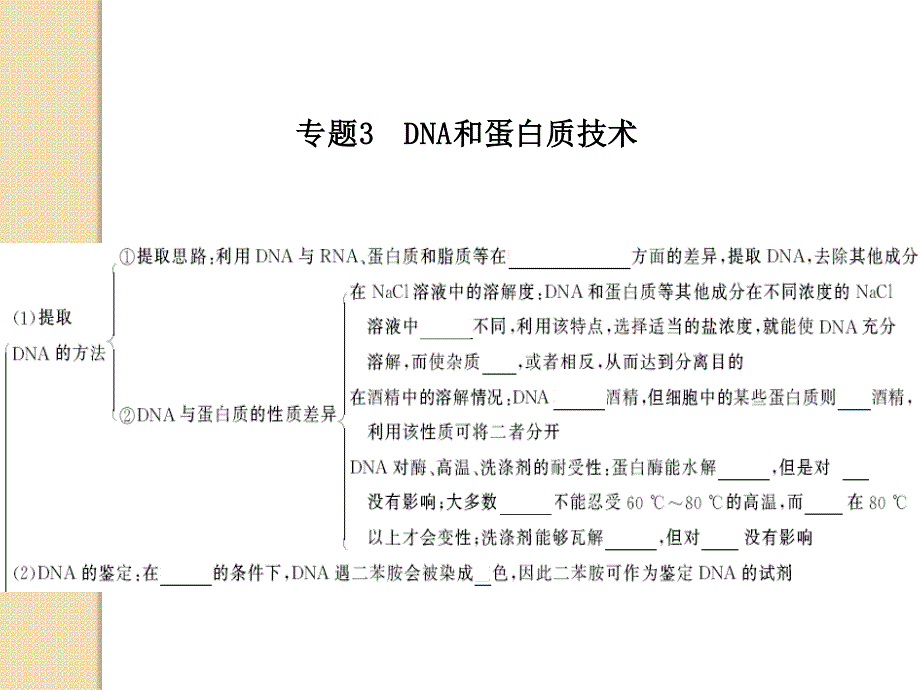 高三生物复习课件：专题3 dna和蛋白质技术(人教版选修1)_第2页