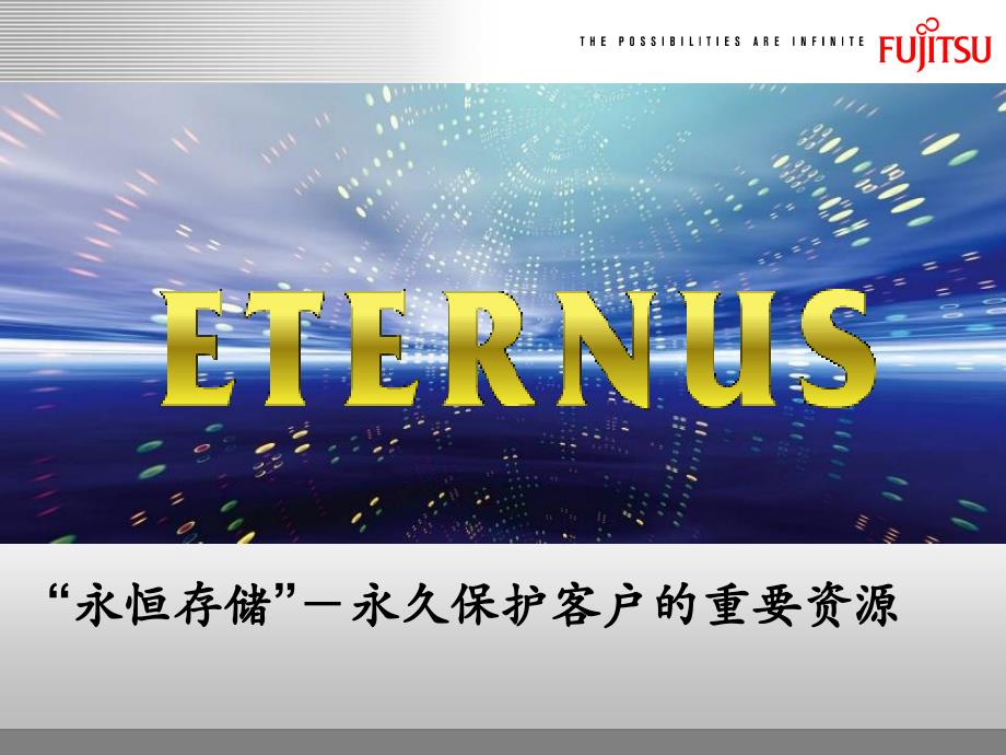 ETERNUS详细产品介绍_第2页