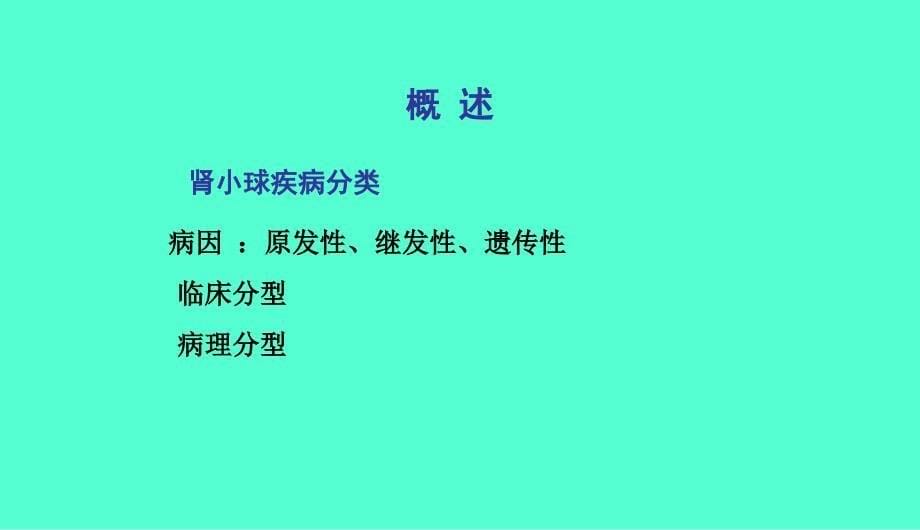 内科学——肾小球病概述_第5页