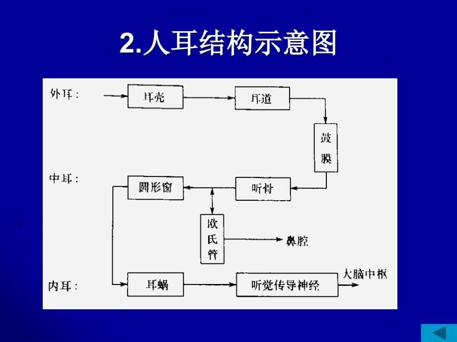 人耳的听觉特性_第5页