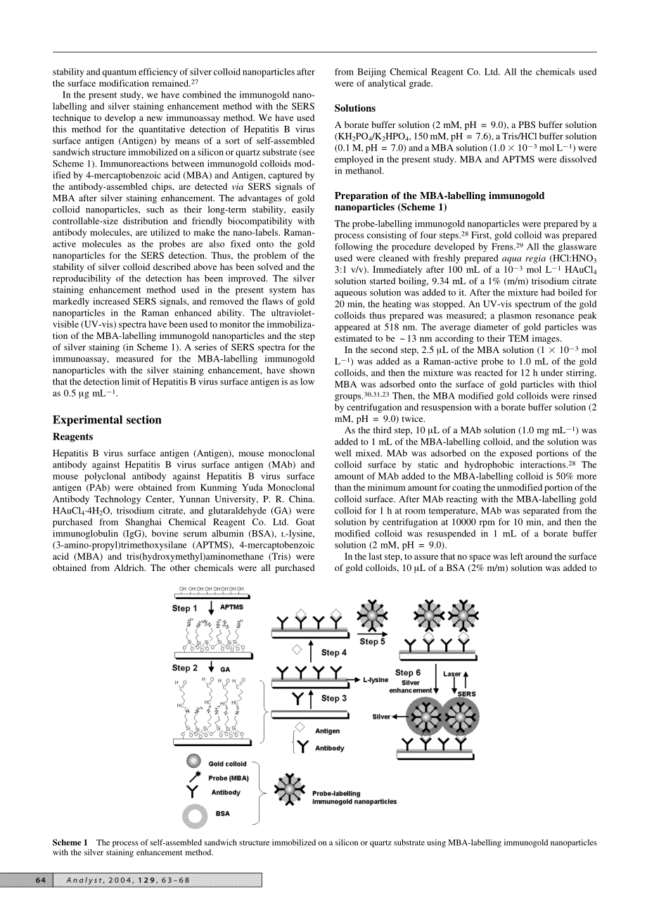 免疫检测探针标记免疫金与银染增强的纳米粒子通过表面增强拉曼散射_第2页