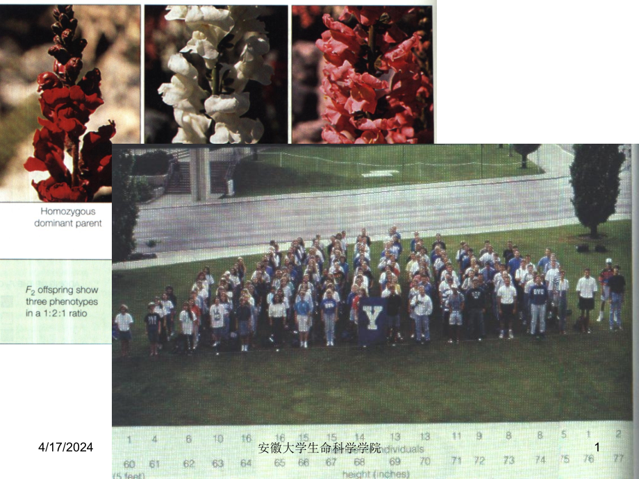 工程安徽大学微生物遗传学部分习题 _第1页