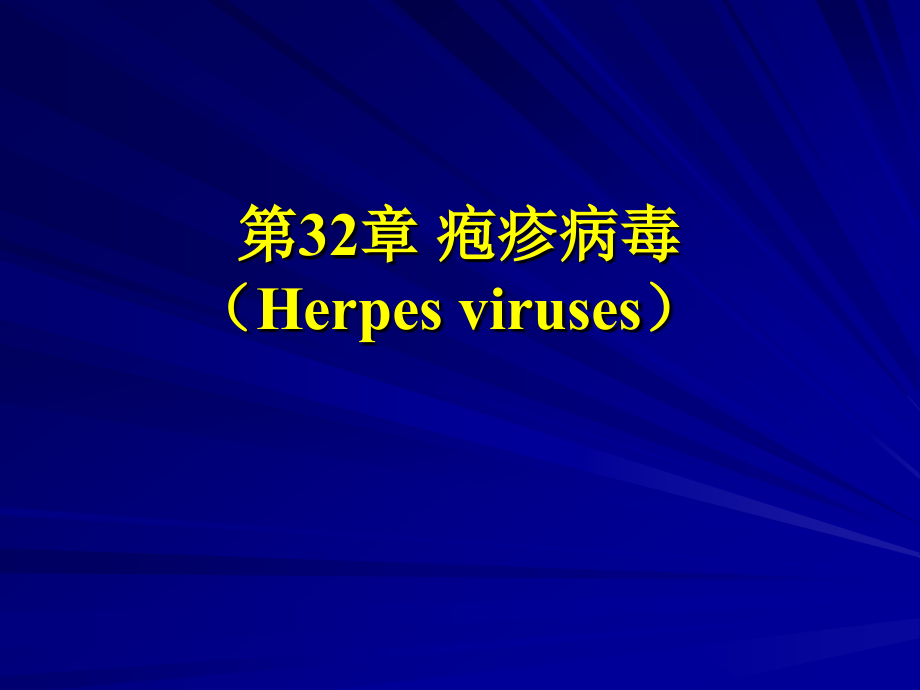 疱疹病毒_第1页