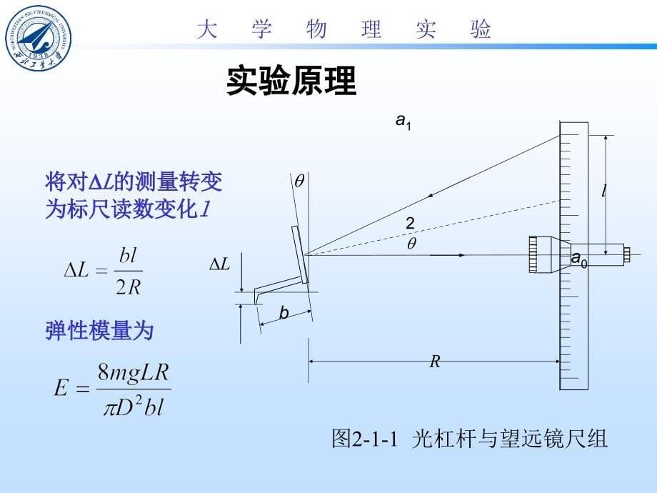 弹性模量的测定_第5页