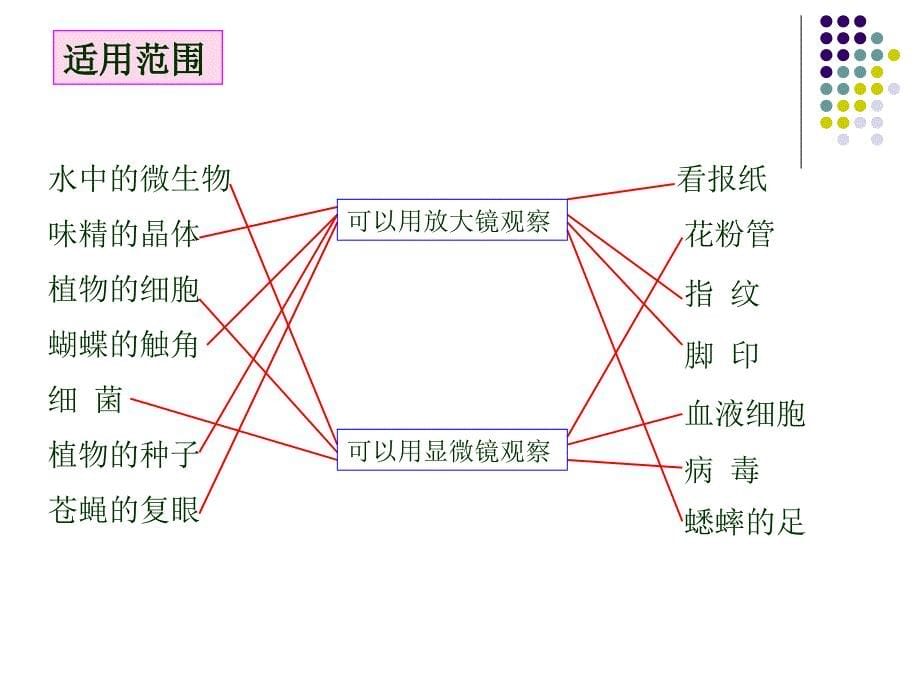 教科版小学科学六下第一单元复习课_第5页