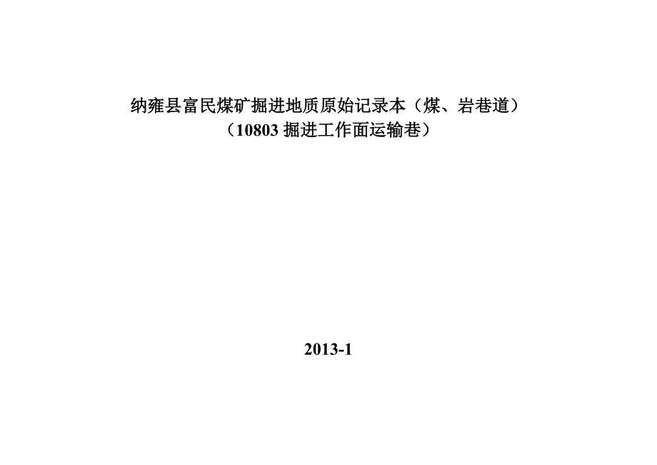 纳雍县富民煤矿掘进地质原始记录本_第4页