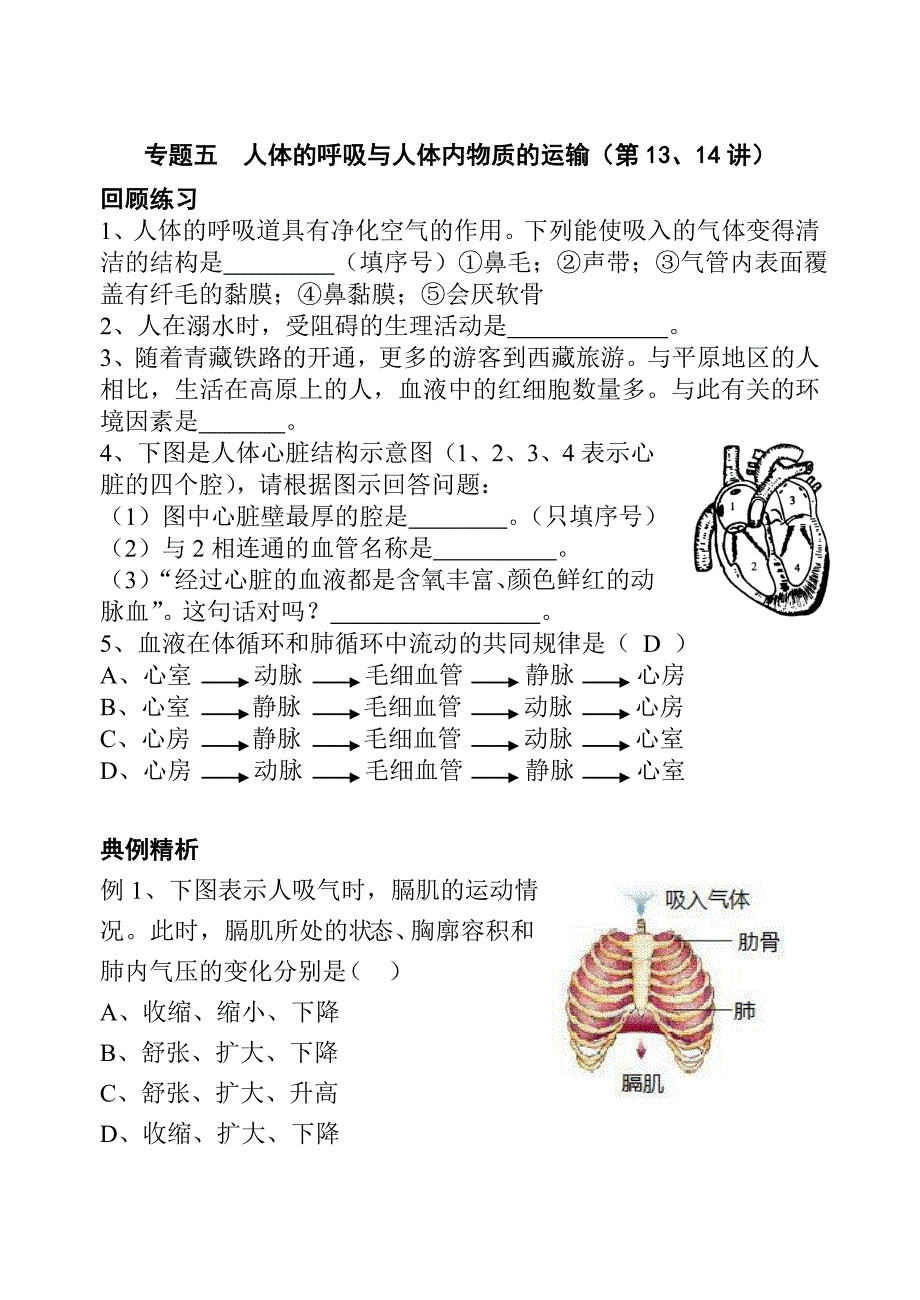 专题五  人体的呼吸与人体内物质的运输(13、14)_第1页