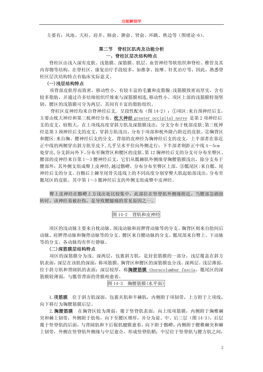 脊柱区fs-13_第2页