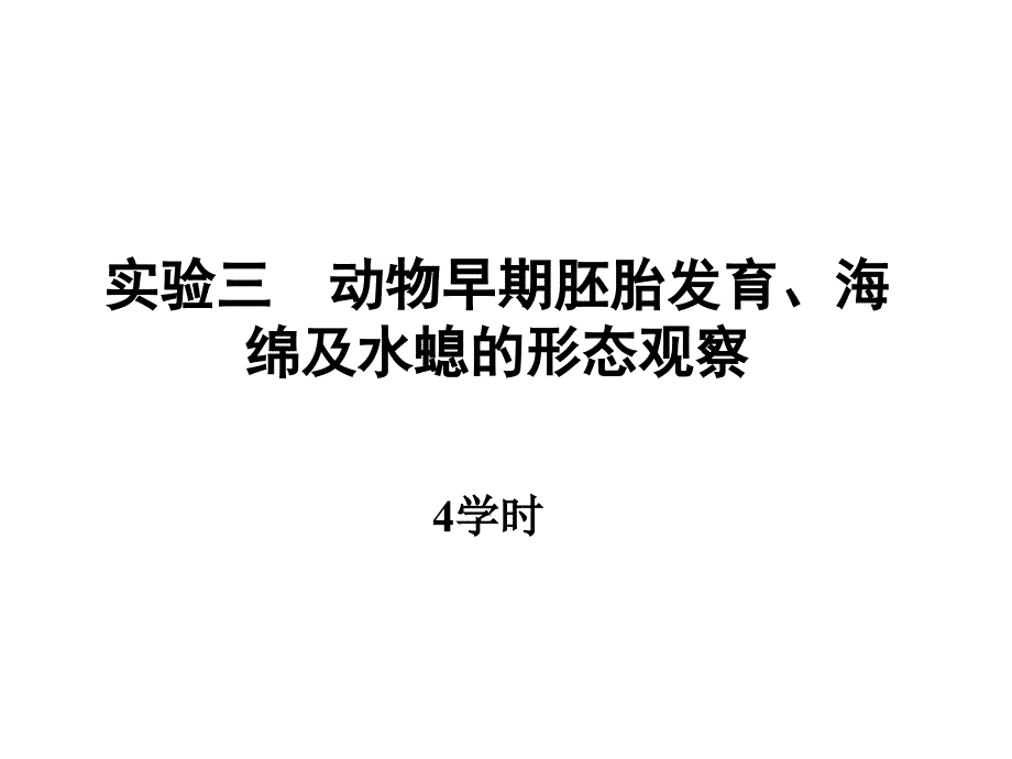 动物学 动物胚胎发育、海绵及水螅的形态观察 ppt课件_第1页