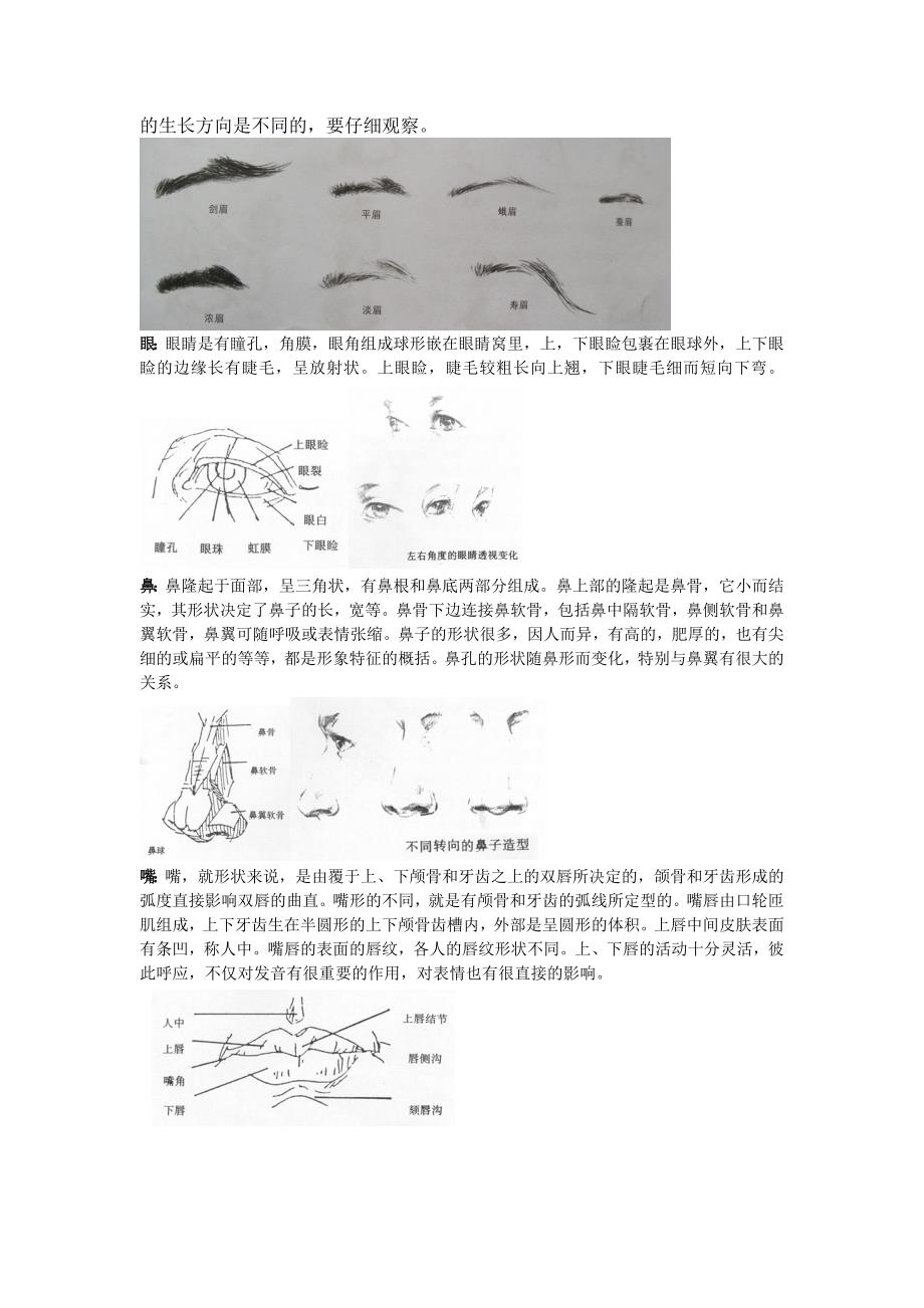 高二年级人物头像素描教案_第2页