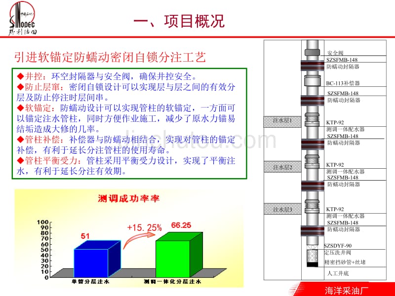 海上油田注水井测调技术项目2014(OK)_第5页