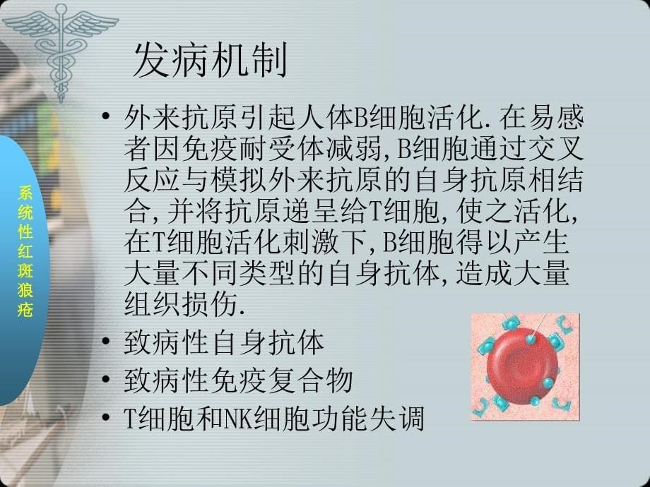 系统性红斑狼疮(SLE) (1)_第5页