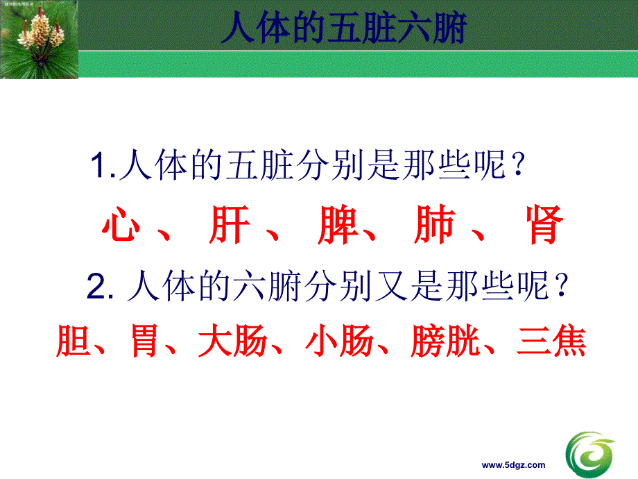 人体五脏六腑生物钟 ppt课件_第3页