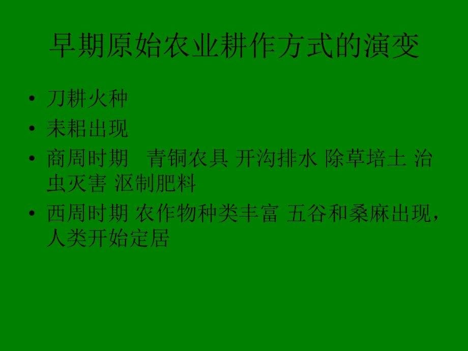 发达的古代农业 ppt_第5页