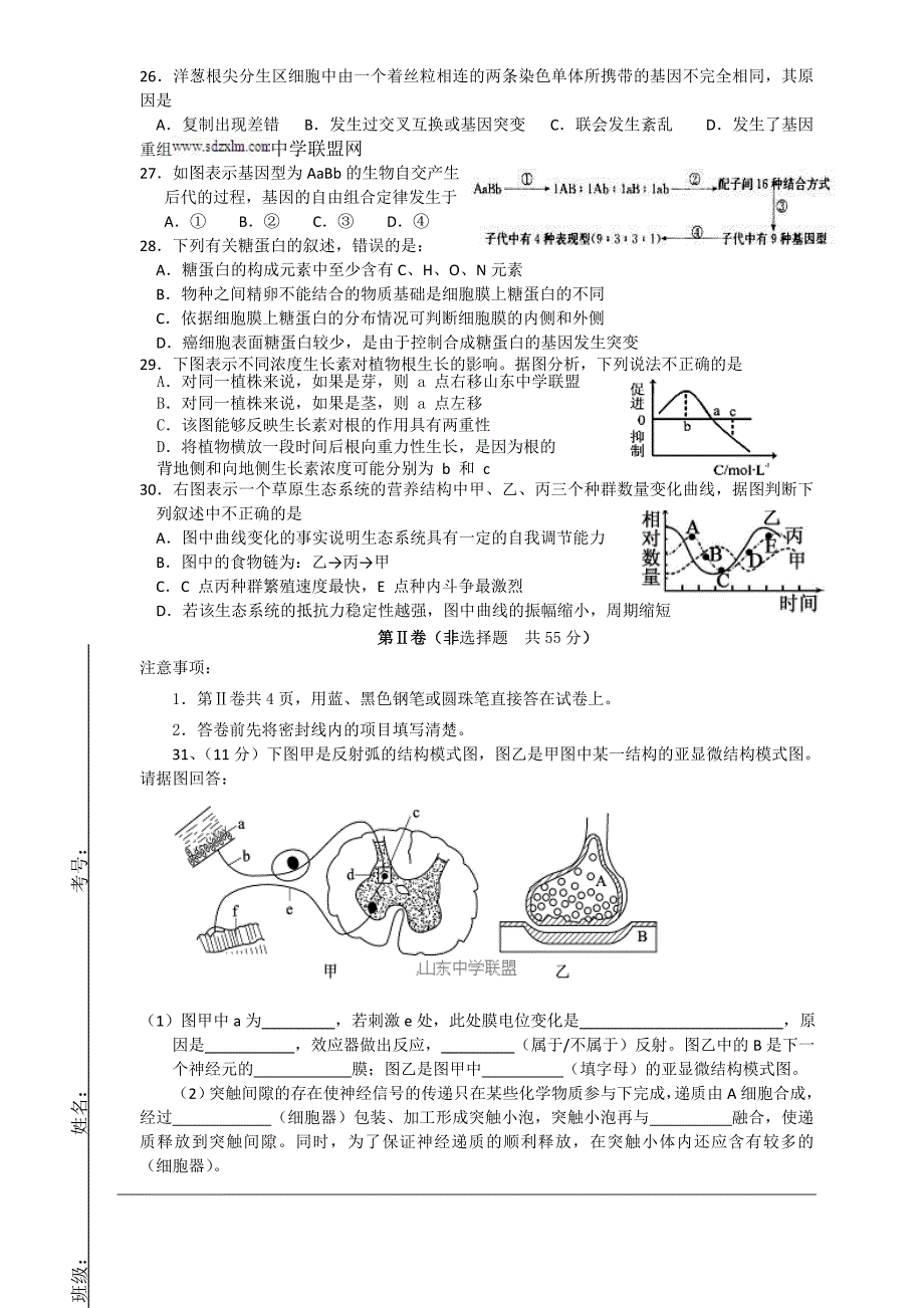 潍坊实验中学2014届高三12月考试题 生物(含答案)_第4页